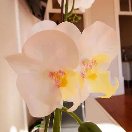 アパート Casa Do Recanto *