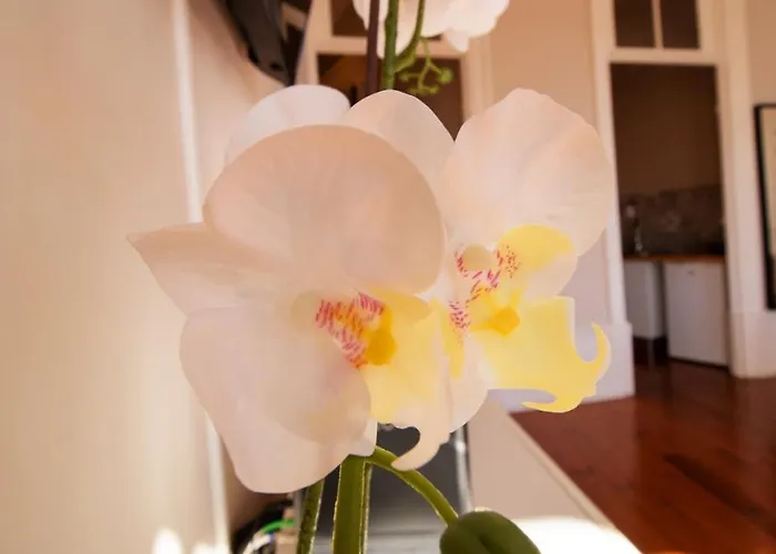 Apartment Casa Do Recanto *